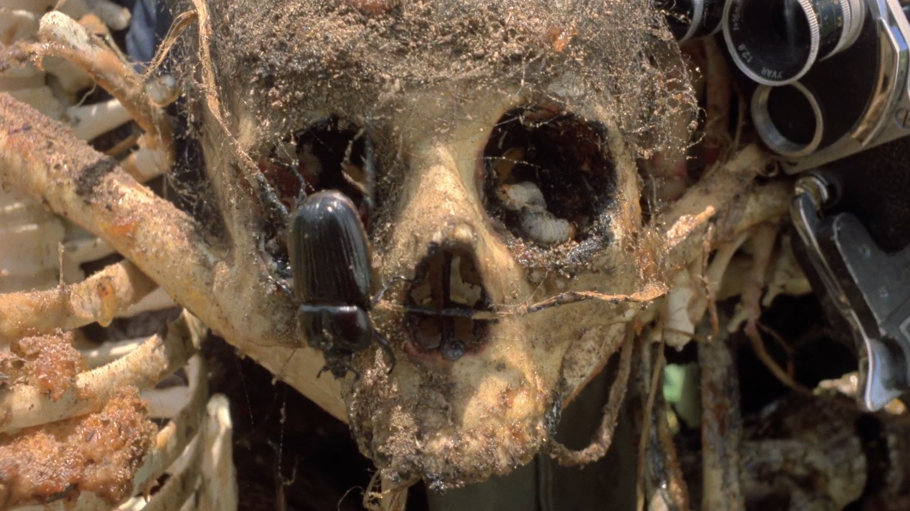 Cannibal Holocaust 4K UHD Includes Never-Before-Released PG Cut from Grindhouse Releasing