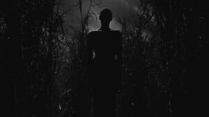 Maya Annik Bedward's Black Zombie reframes horror by tracing the zombie myth to vodou and African traditions